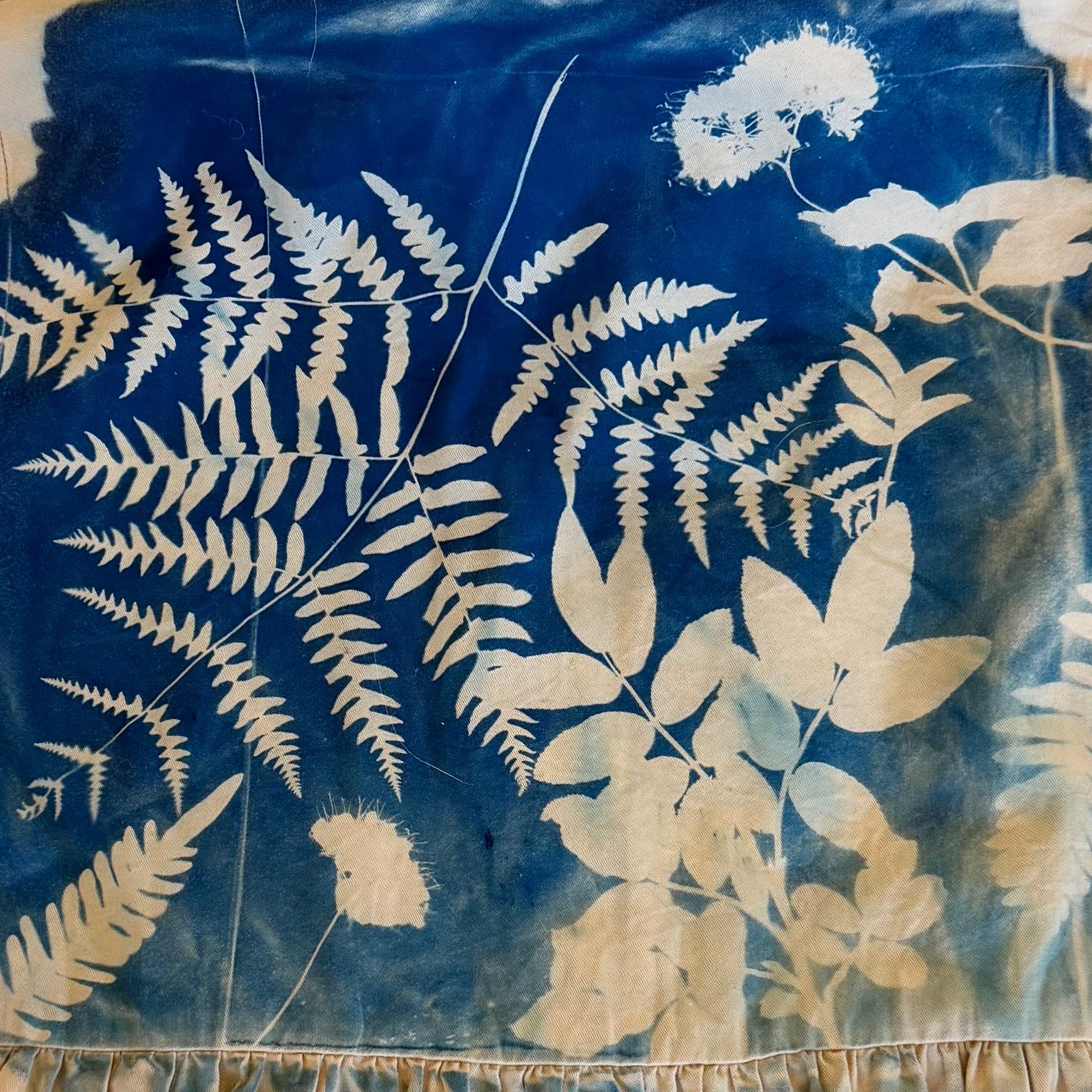 Cyanotype