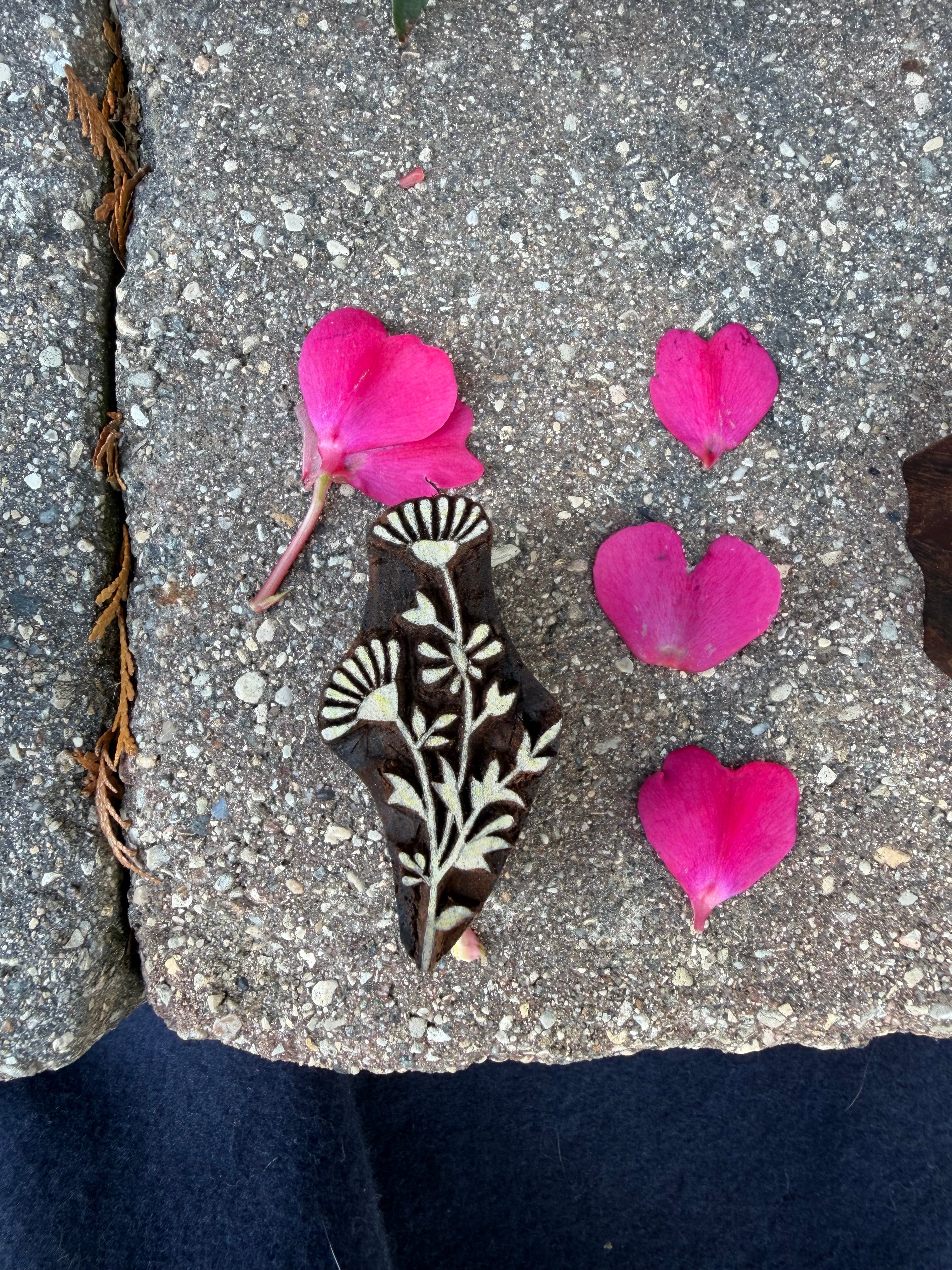Wild Flowers