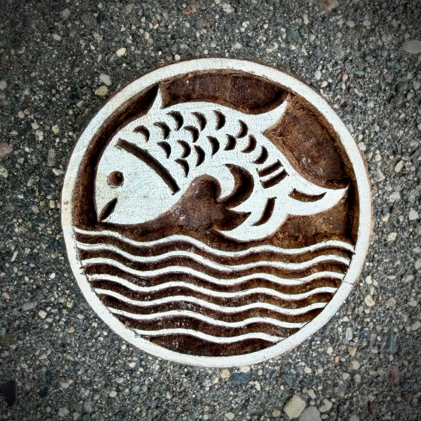 Circle Fish