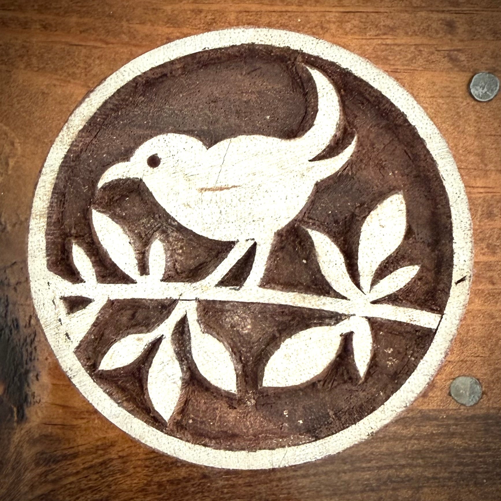 Circle Bird