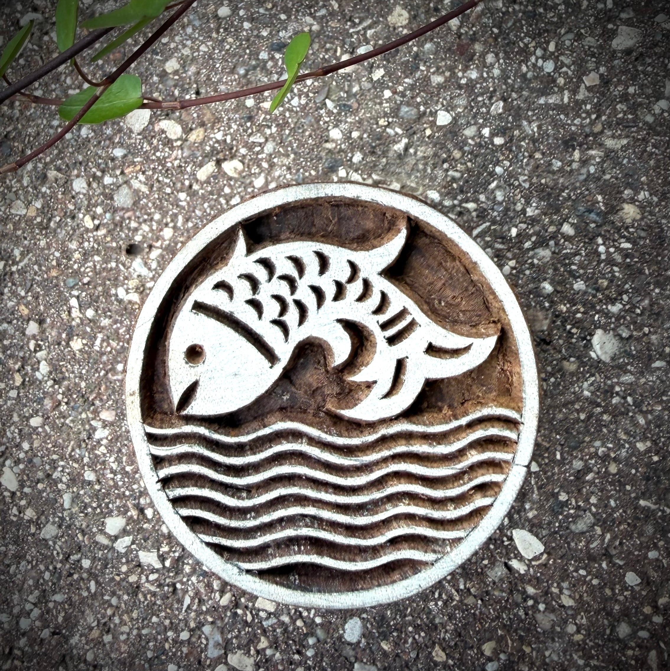 Circle Fish