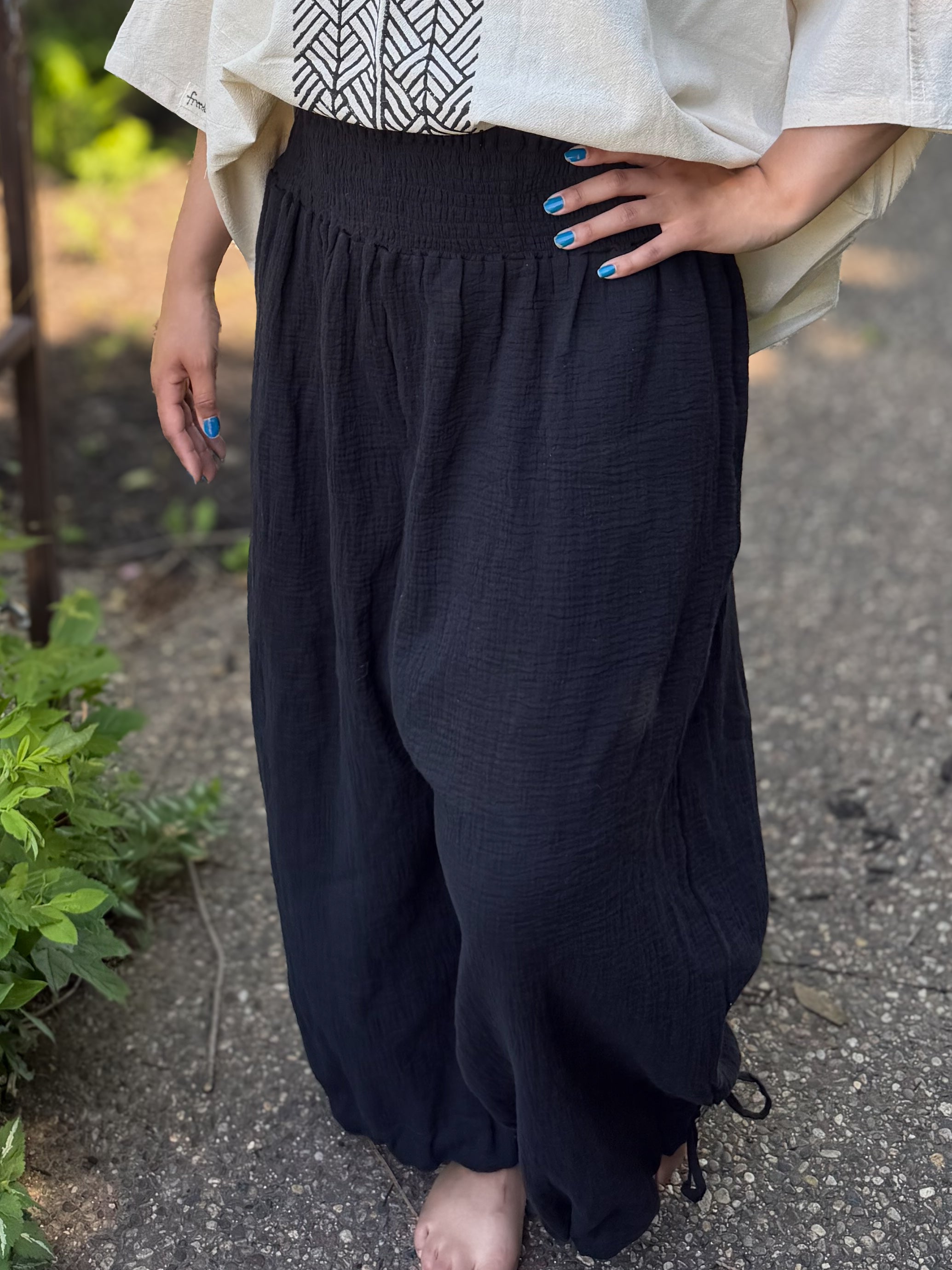 The Priti Pant