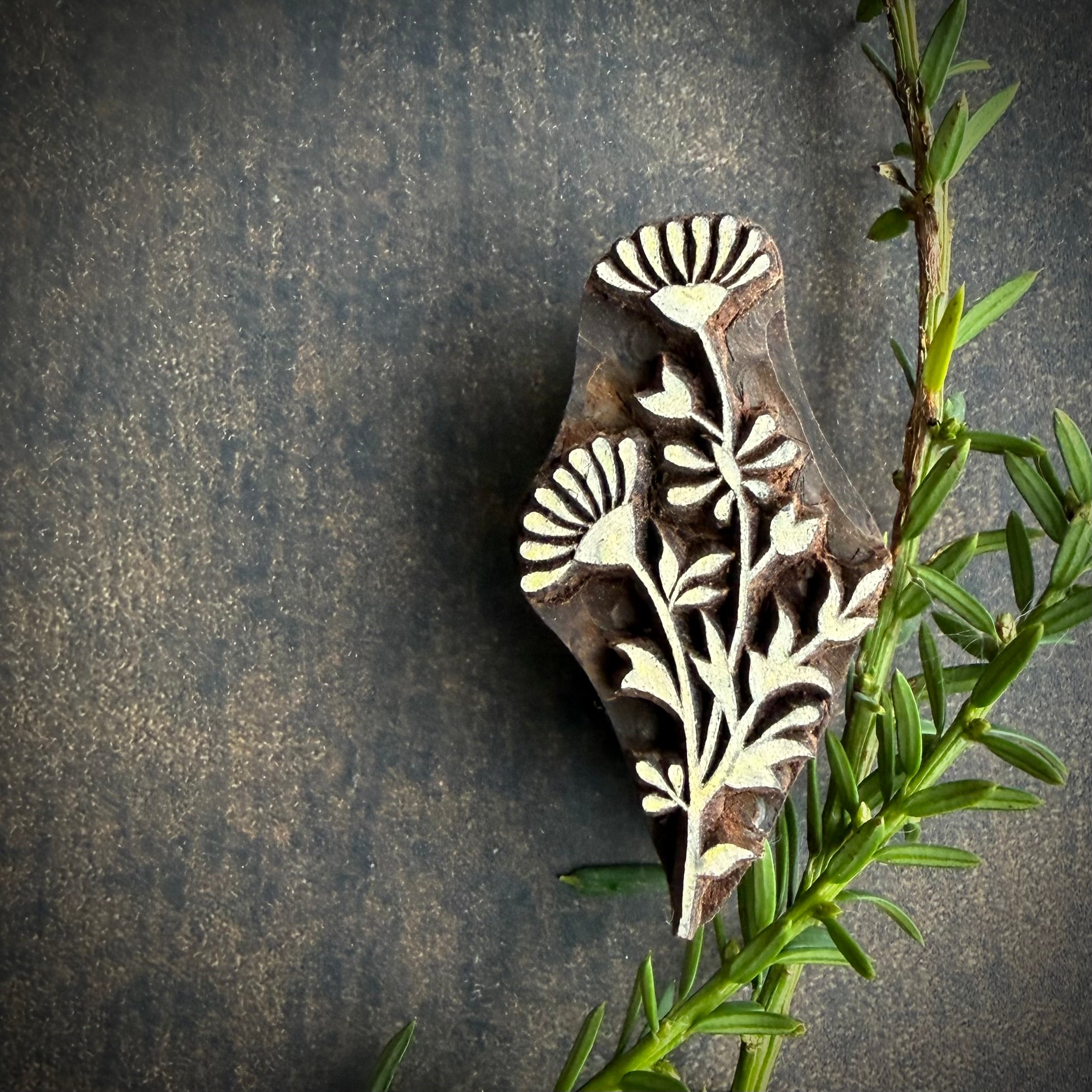 Wild Flowers