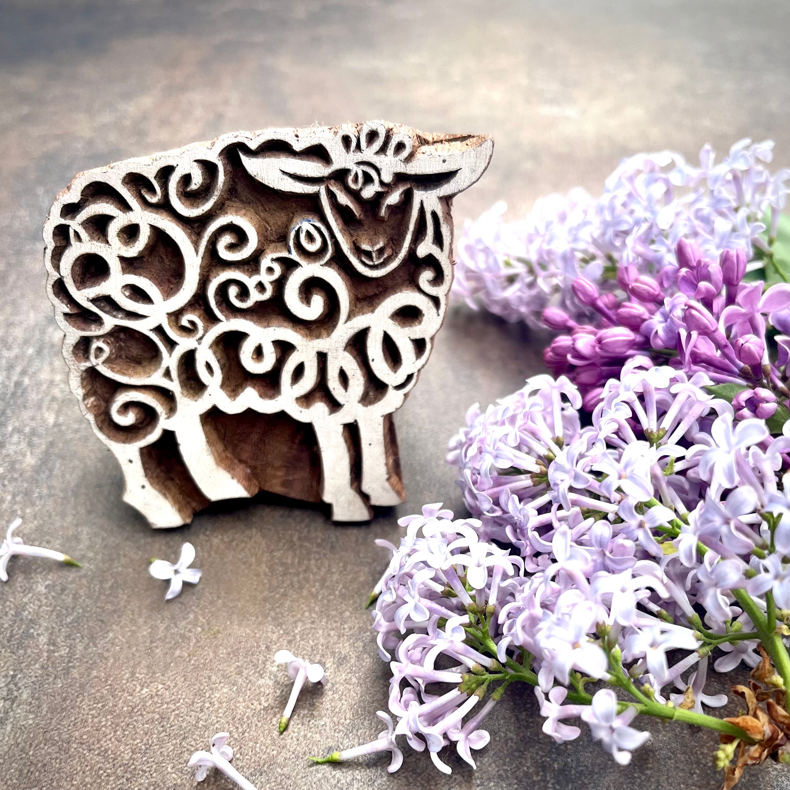 Sheep