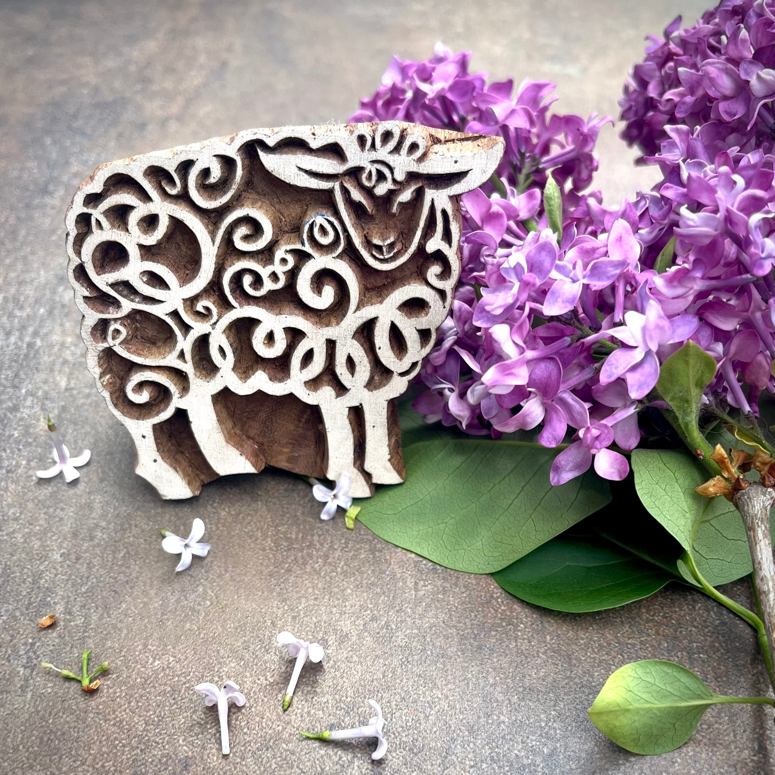 Sheep