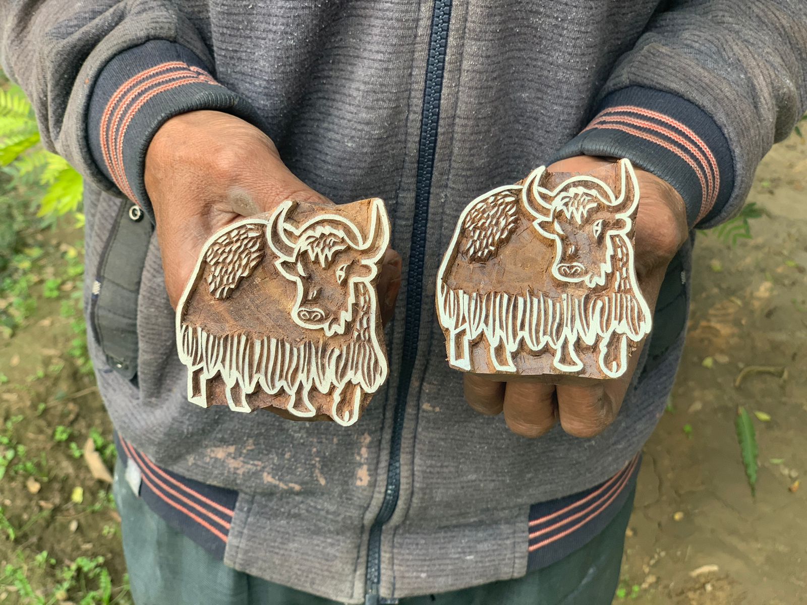 Yak