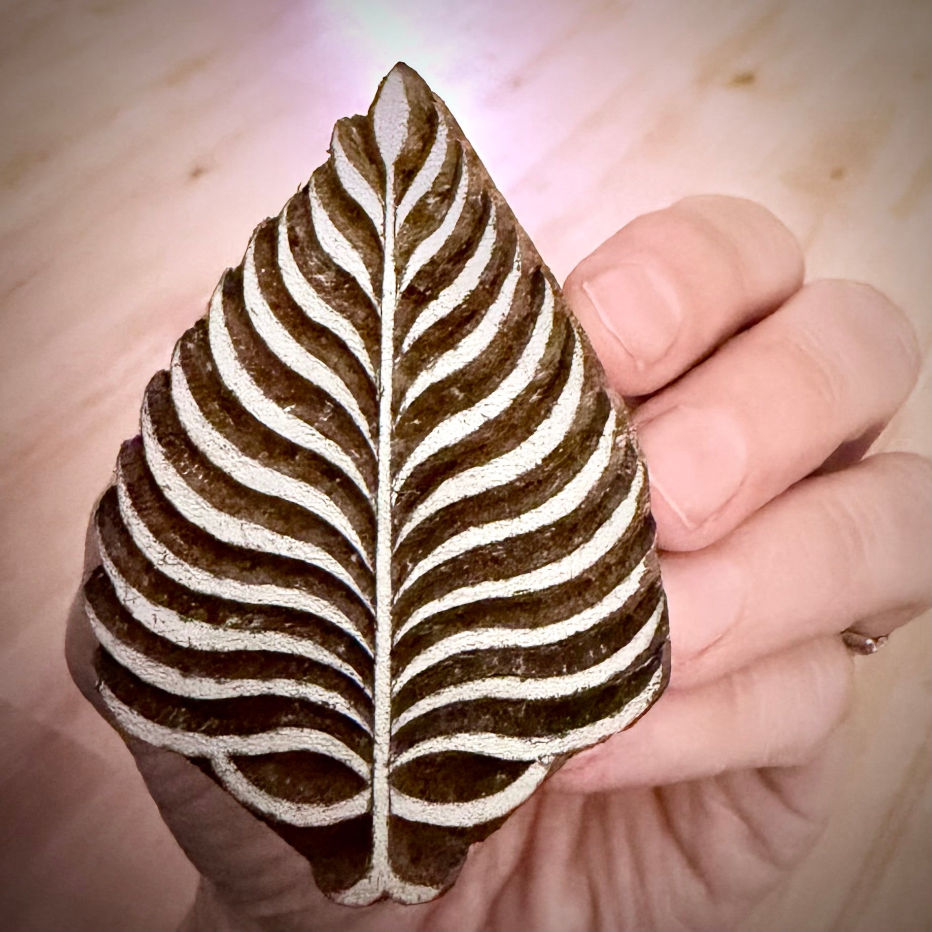 Fern