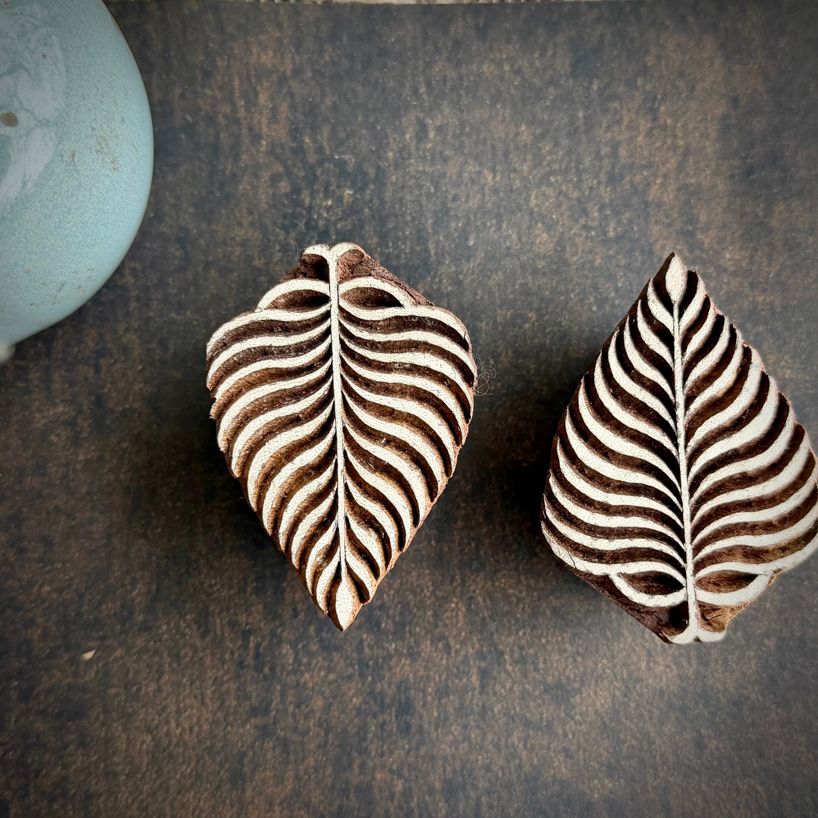 Fern