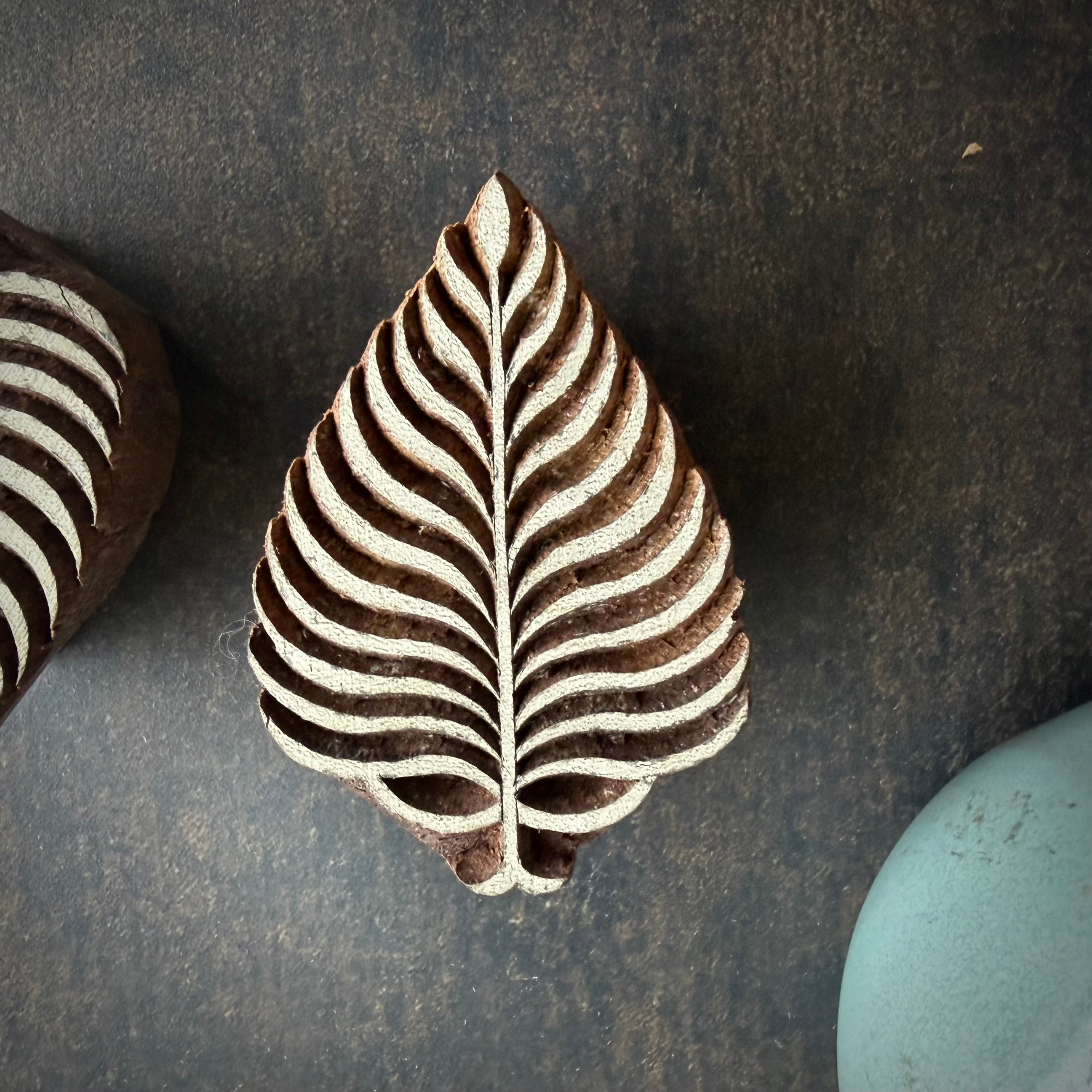 Fern