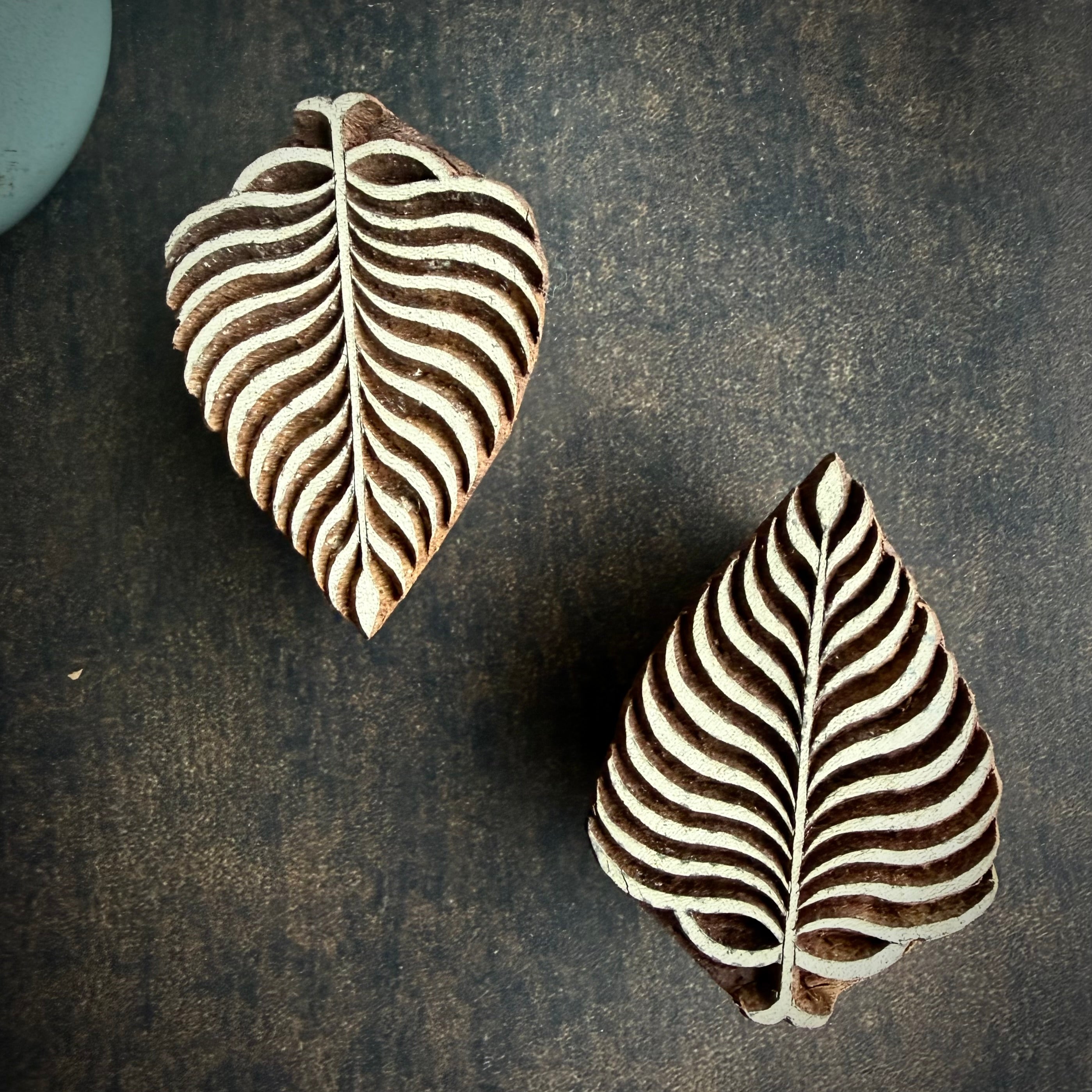 Fern