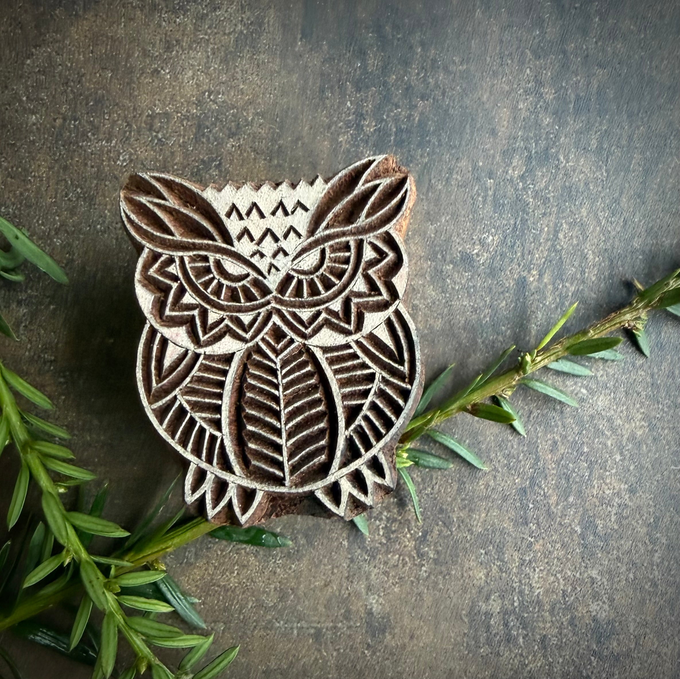Owl
